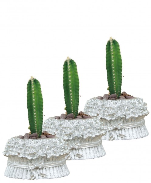 Mini Çiçek Saksı Küçük Sukulent Gümüş Kaktüs Saksısı 3lü Set Çiçekli Fiyonklu Model